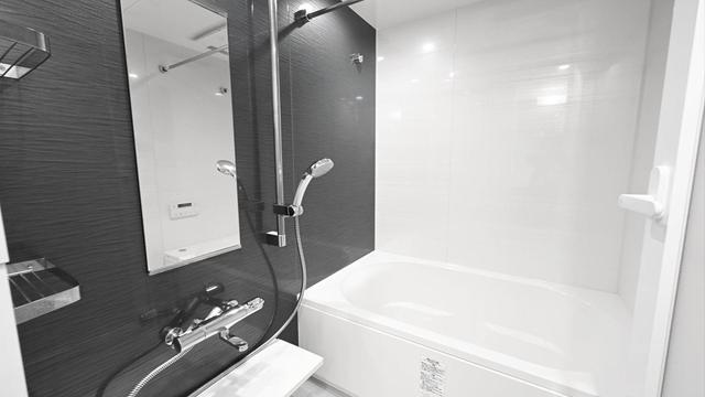 Gallery image 13
