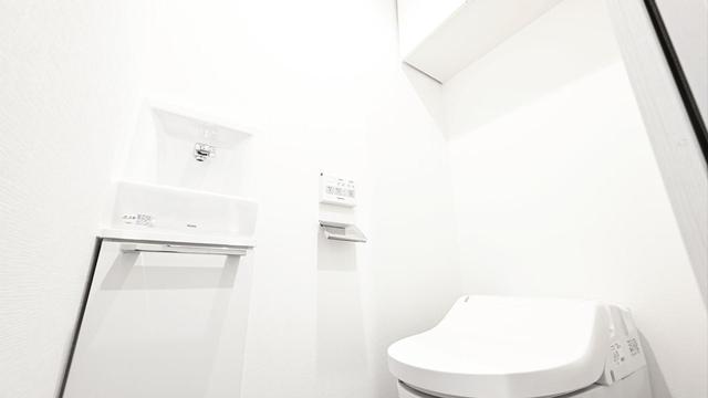 Gallery image 11