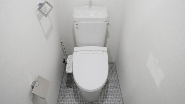 Gallery image 10