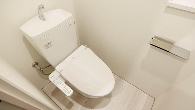Gallery image 11
