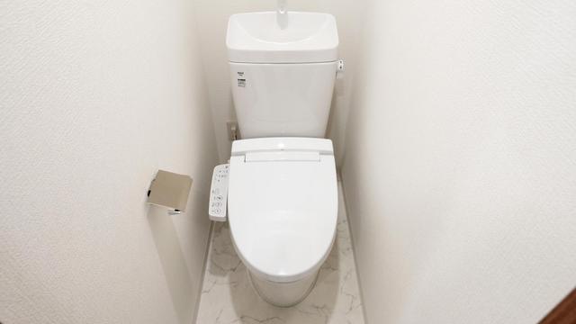 Gallery image 11