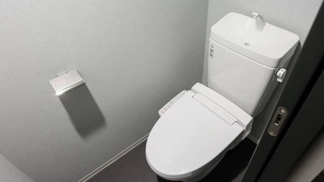 Gallery image 9